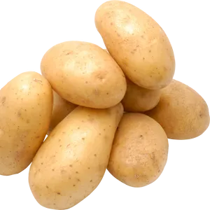 Potato