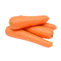 Carrot