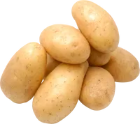 Potato